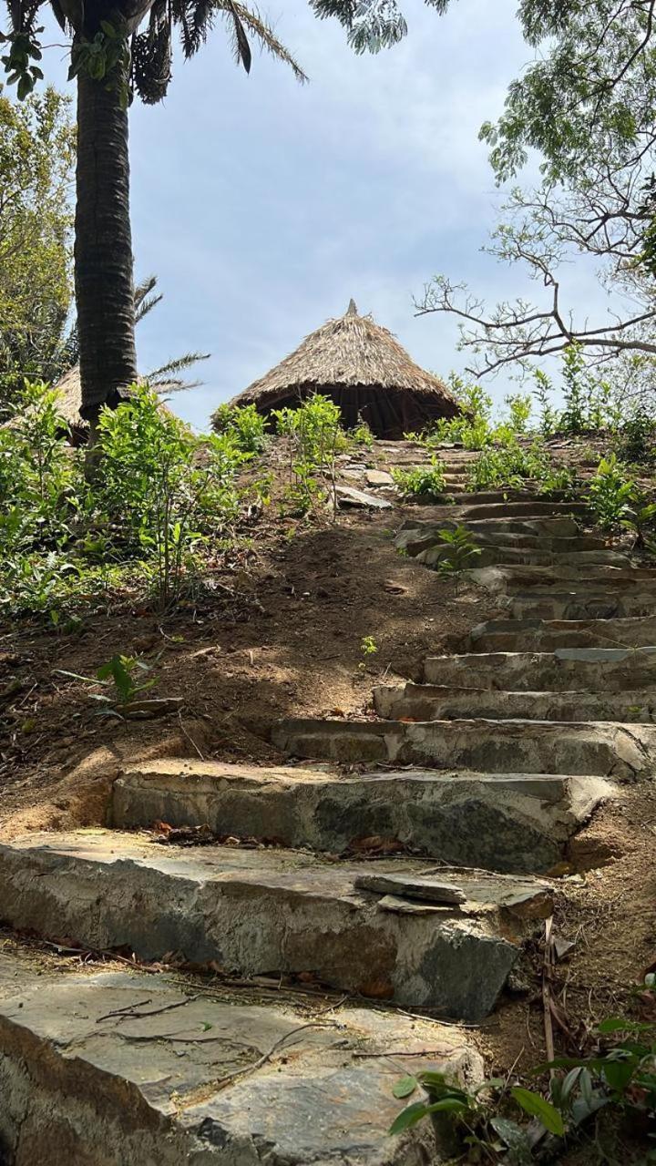 Tawaca Ecohotel